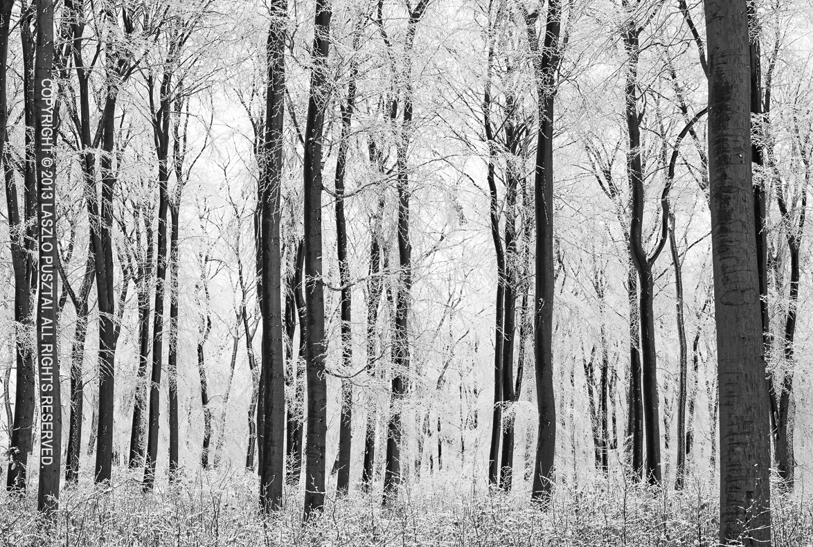 650D_1304_1017
