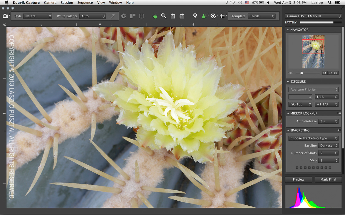 Checking sharpness and histogram. Click the image for a larger version.