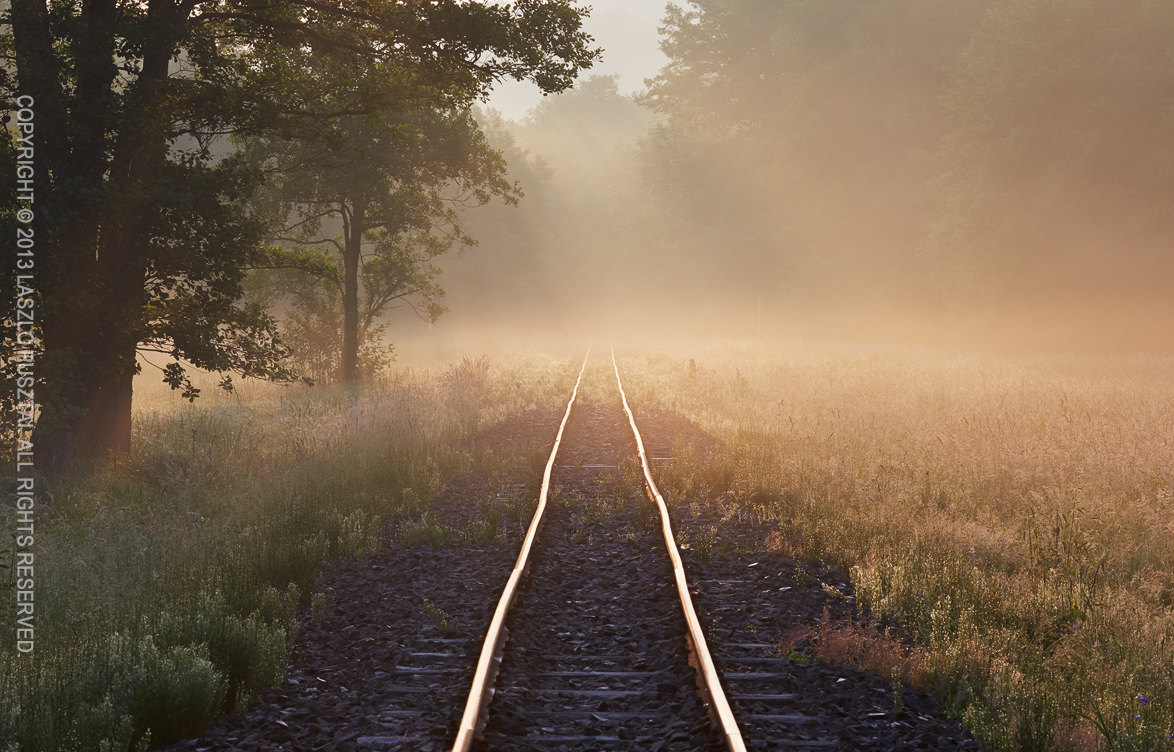 Forest Railway Tranquility