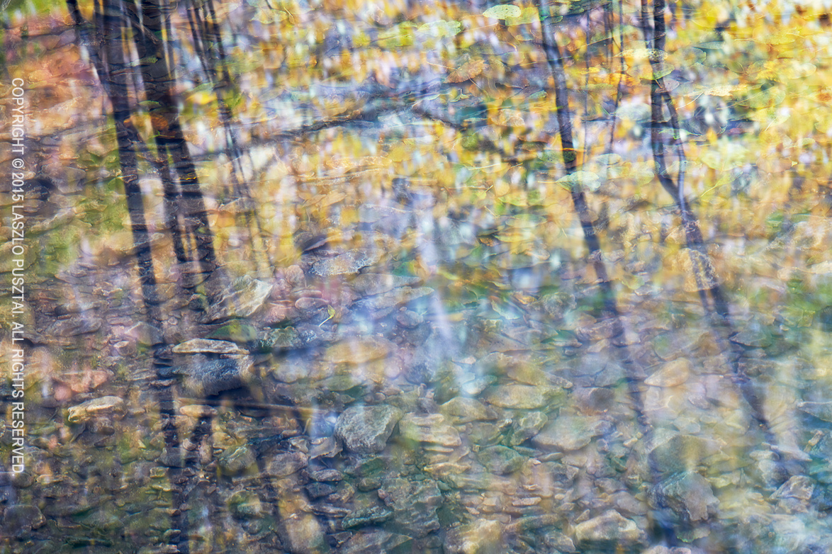 Fall Stream Reflection