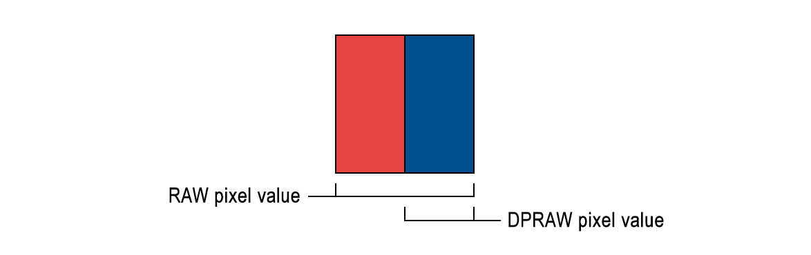 The RAW data section contains pixel values with the sum left and right sides of the photodiode, while the DPRAW section contains pixel values from just one side of each photodiode.